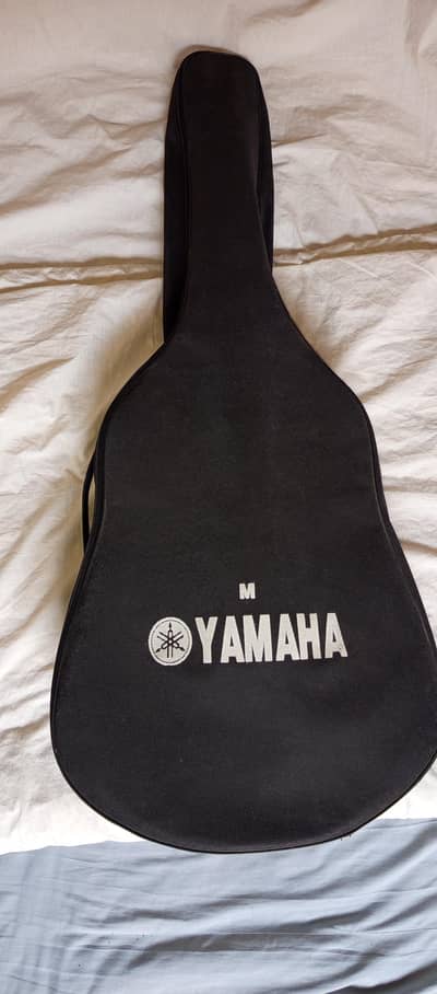 Accoustic-Electric  Guitar  ( Clayton Mc3 Cutaway )