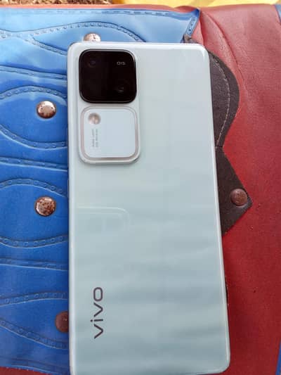 vivo v30