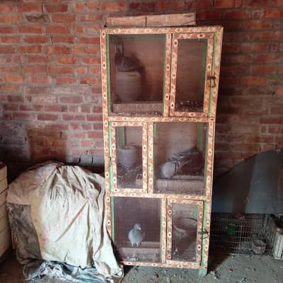 Cage For Sale Kabak