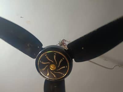 Tamoor Acdc Celling Fan Model 56" | AC/DC