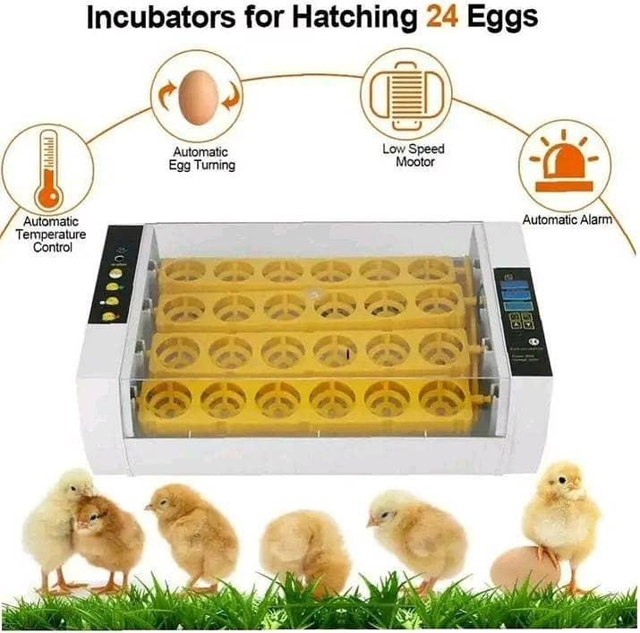 Automatic Egg Incubator | Egg Hatching Machine | Incubator | Brooder 1