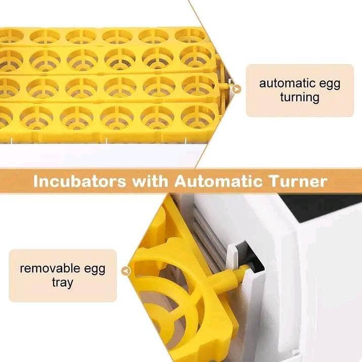 Automatic Egg Incubator | Egg Hatching Machine | Incubator | Brooder 3
