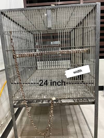 Big parrots cage
