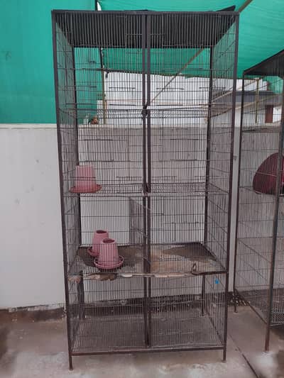 urgent love bird cages for  sale