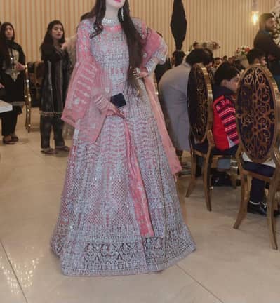 walima and barat maxi