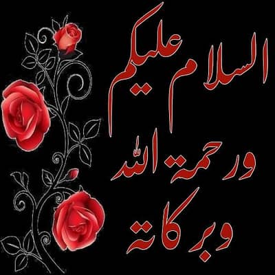 need rider for fast food shop