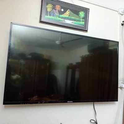 Eco Star LED 55 inches lights are fused