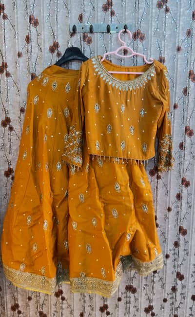 Embroidered mirror work lehnga choli