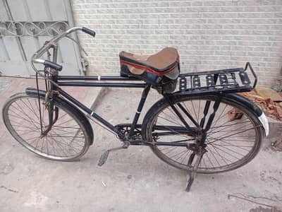 Sohrab sikal for sale