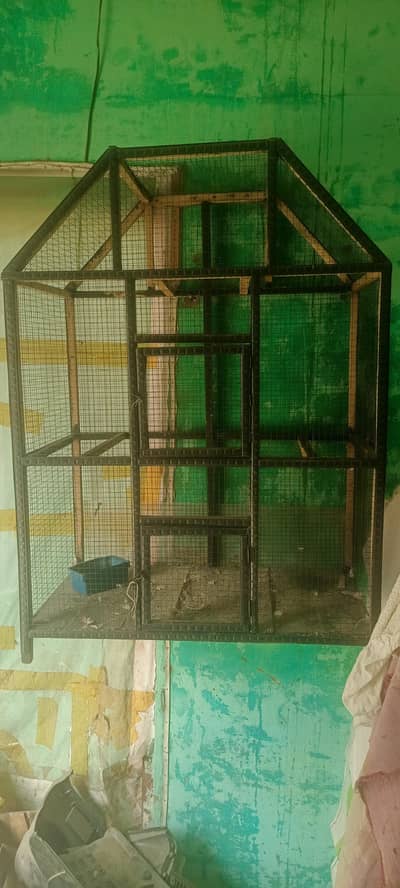 mazbot jalli mia bana howa ha