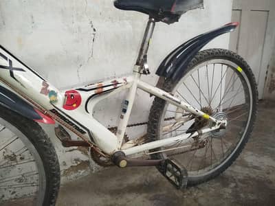 Bridgestone Japanese Bicycle