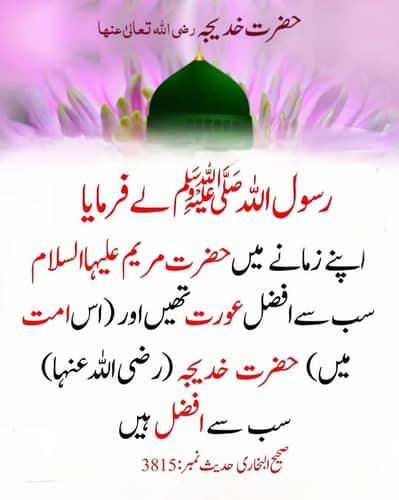 Desi Misri 3 Murghyan aur 1 Murgha for Sale