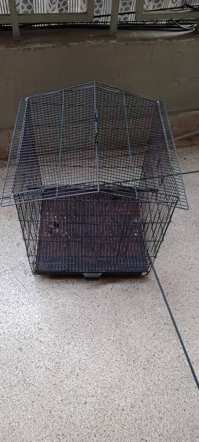 parrot  Cage for sale