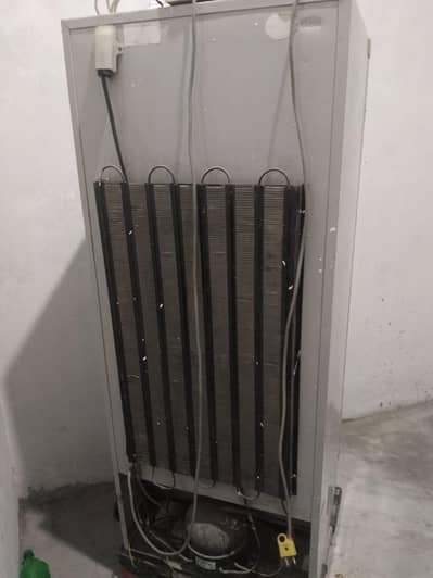 Dawlance Refrigerator for Sale (Second Hand)