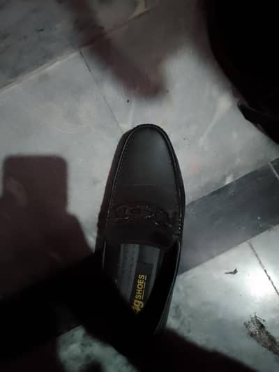 Sanekar shoes