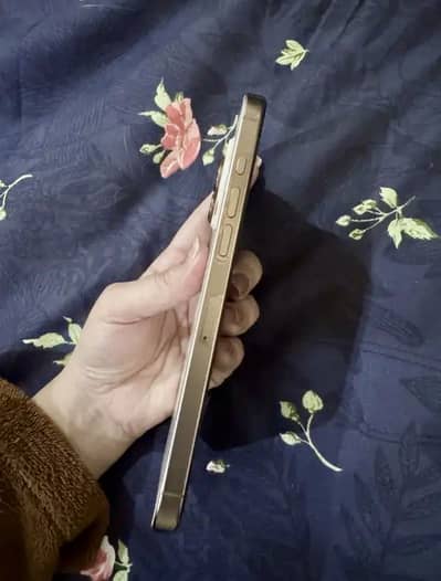 iPhone 16 pro max 256gb