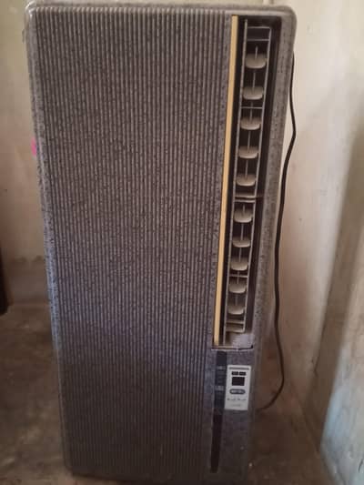 Corona portable AC 110