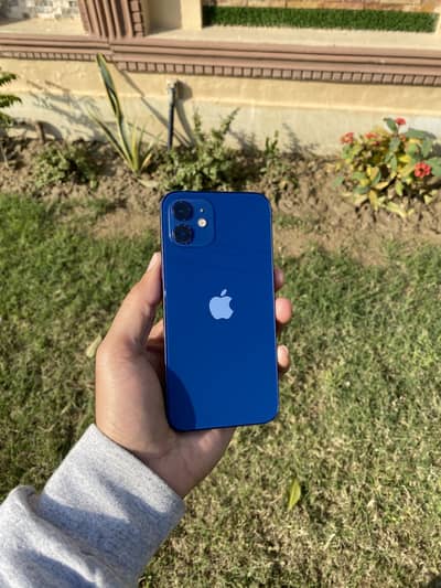 Iphone 12 PTA approved