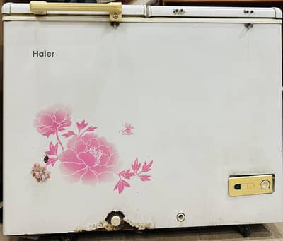 Haier 325 Liter Double Door Deep Freezer (12 CF) | HDF-325H | White