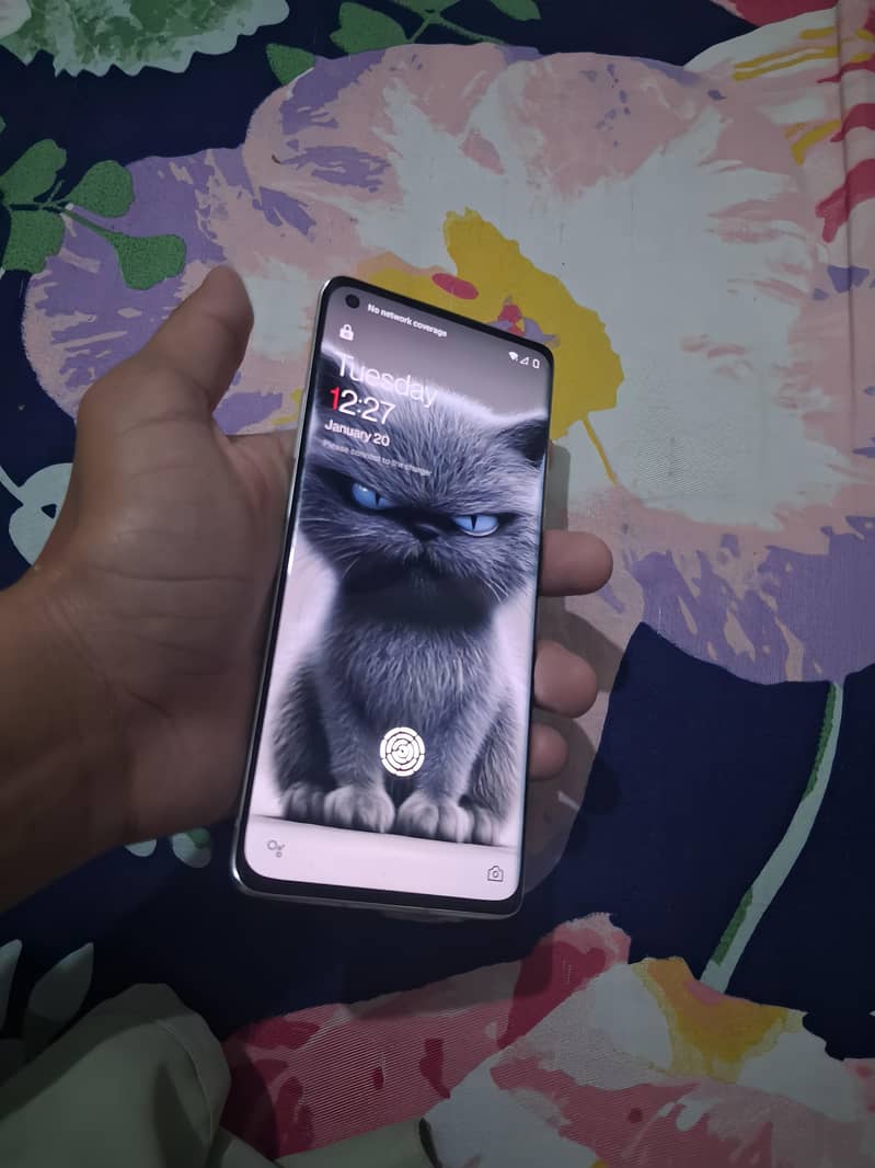 one plus 8 1