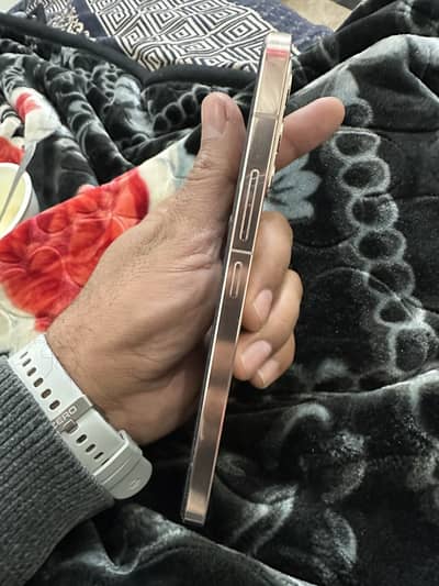 Vivo V23 5G PTA Approved