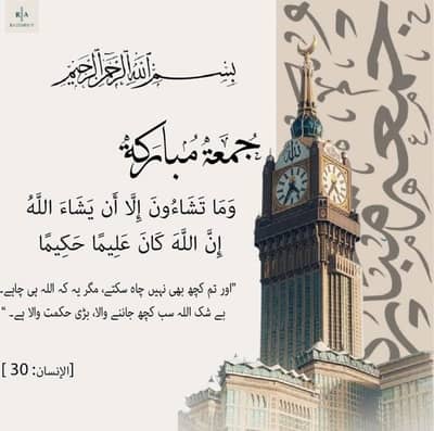 need male or female architect 2D and 3D