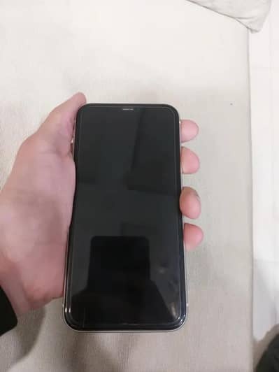 IPhone 11 Pta approved