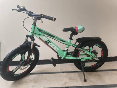 Begoo TB300 Gearless Cycle – Almost New, Fat Tyres — for 11-12yo Kidz