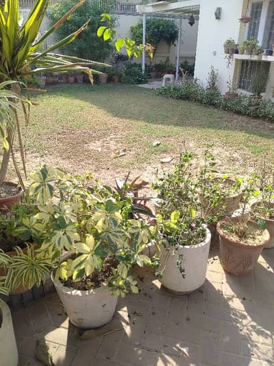 600 YARDS BUNGALOW AVAILABLE FOR SALE