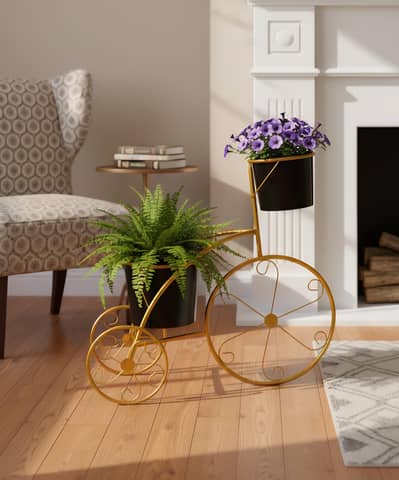 Decorative plant \ Planter \ planter cycle for home decoration