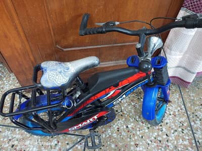 Kids Sports Bicycle