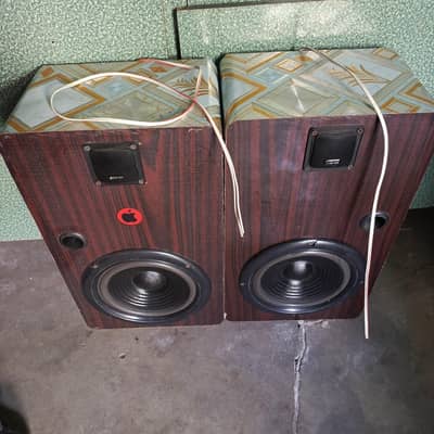 8 inch woofer pair with tuitor