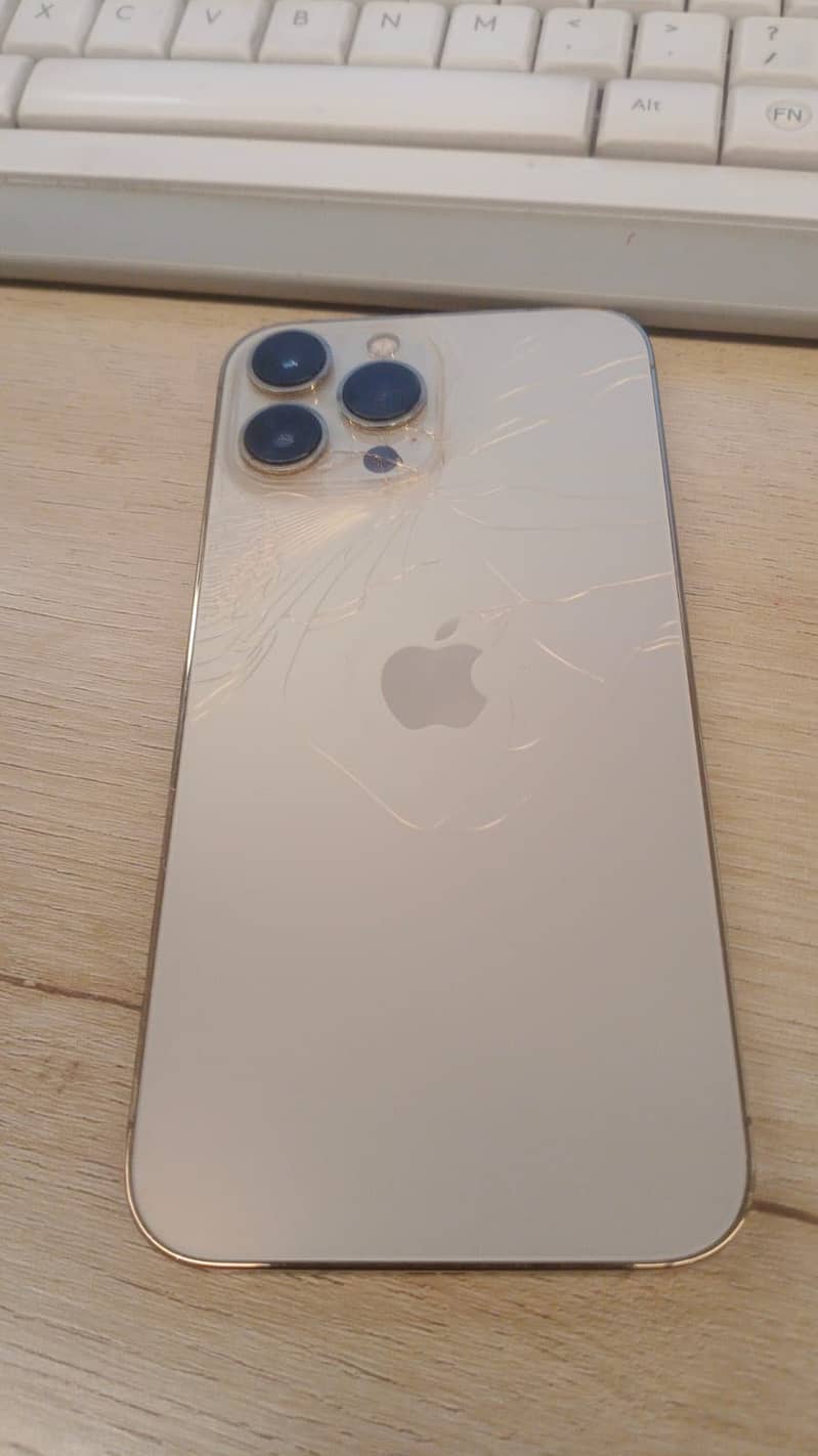 13 Pro max ( Back broken) 0