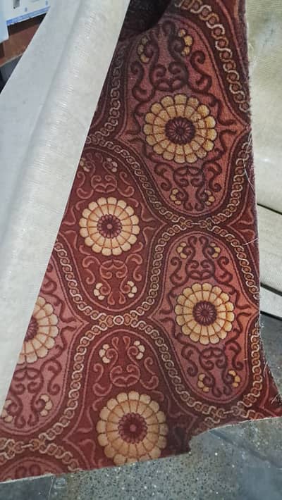 Living Room Carpet (Used – Good Condition)