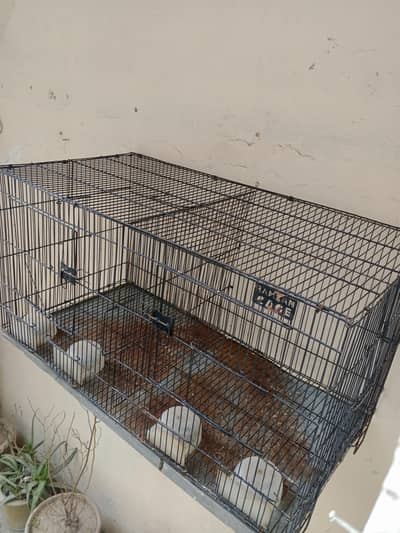 Double khane wala cage (0320/4343/502)