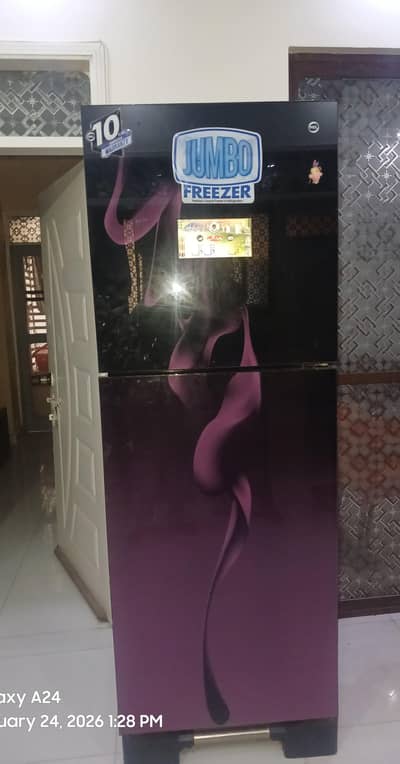 this is used only for 6 months  and the company is pel jumbo size