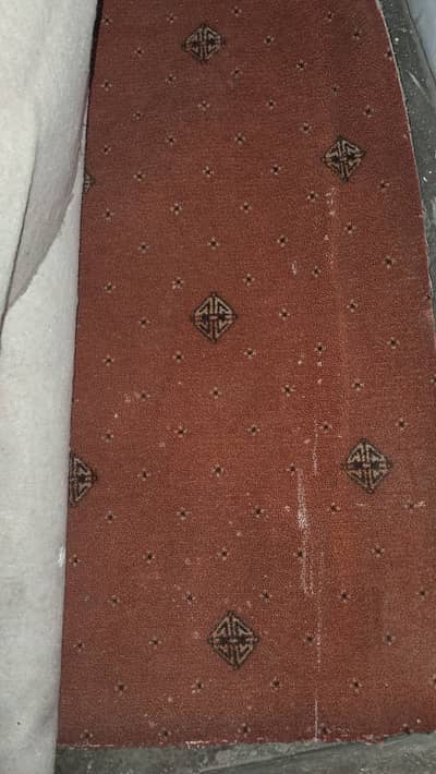 Living Room Carpet (Used – Good Condition)