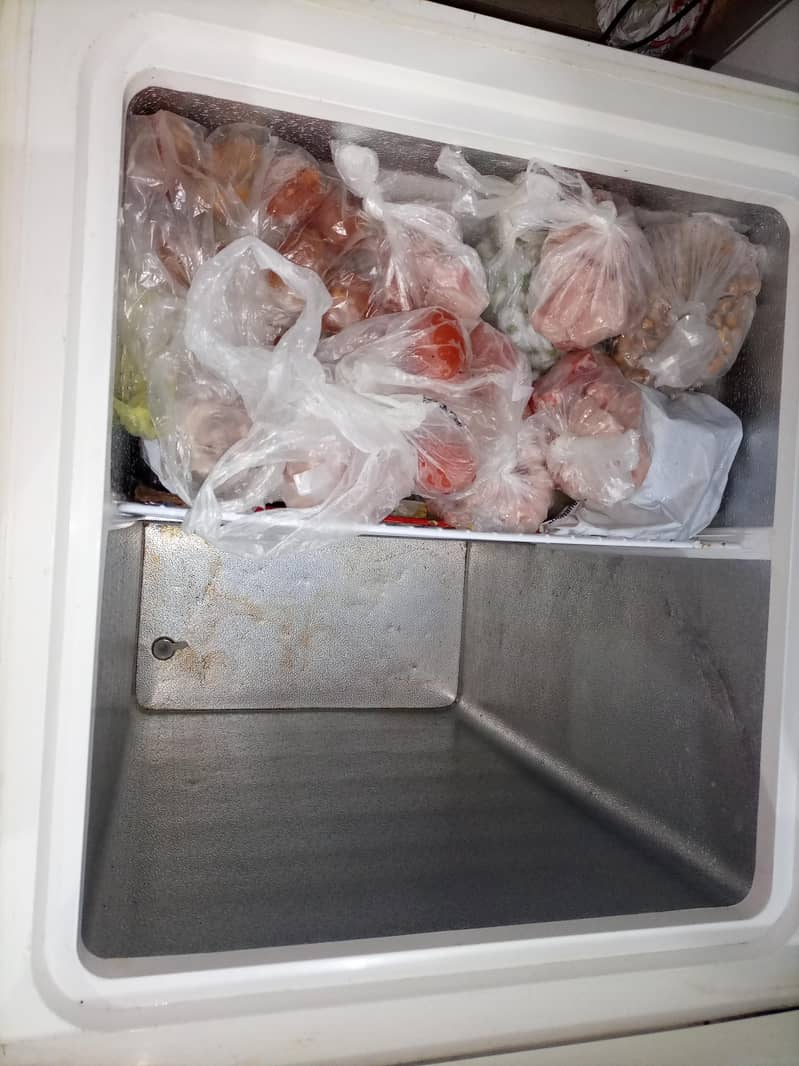 double door deep freezer 2