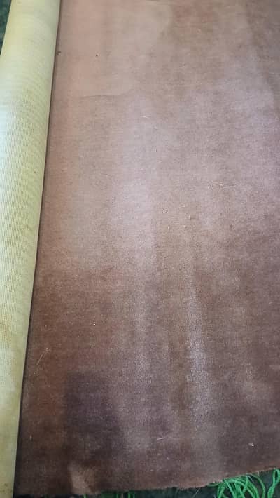 carpet good condition
