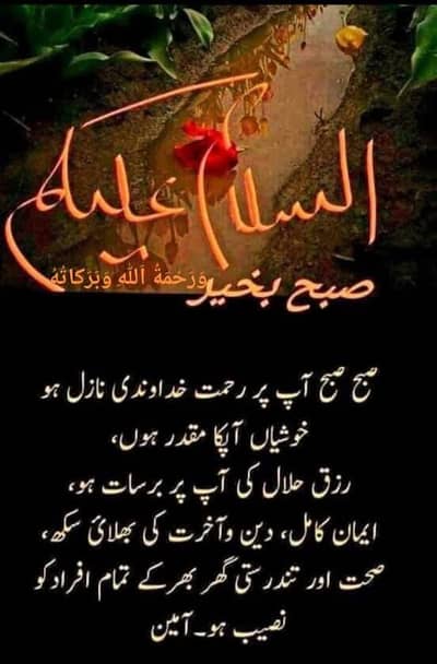 maid job 03447188535