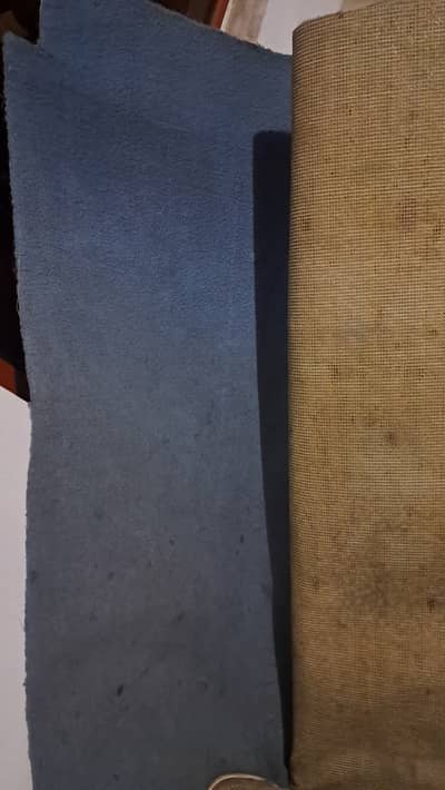 Dining Room Carpet (Used)