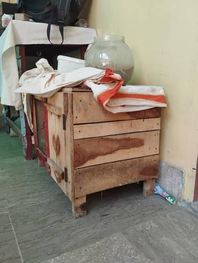 Batair  Pair with Wood cage