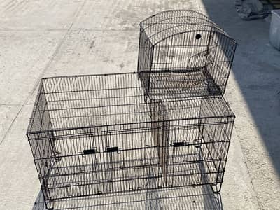 2 cages
