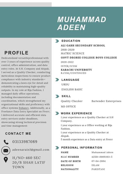 Professional CV Maker