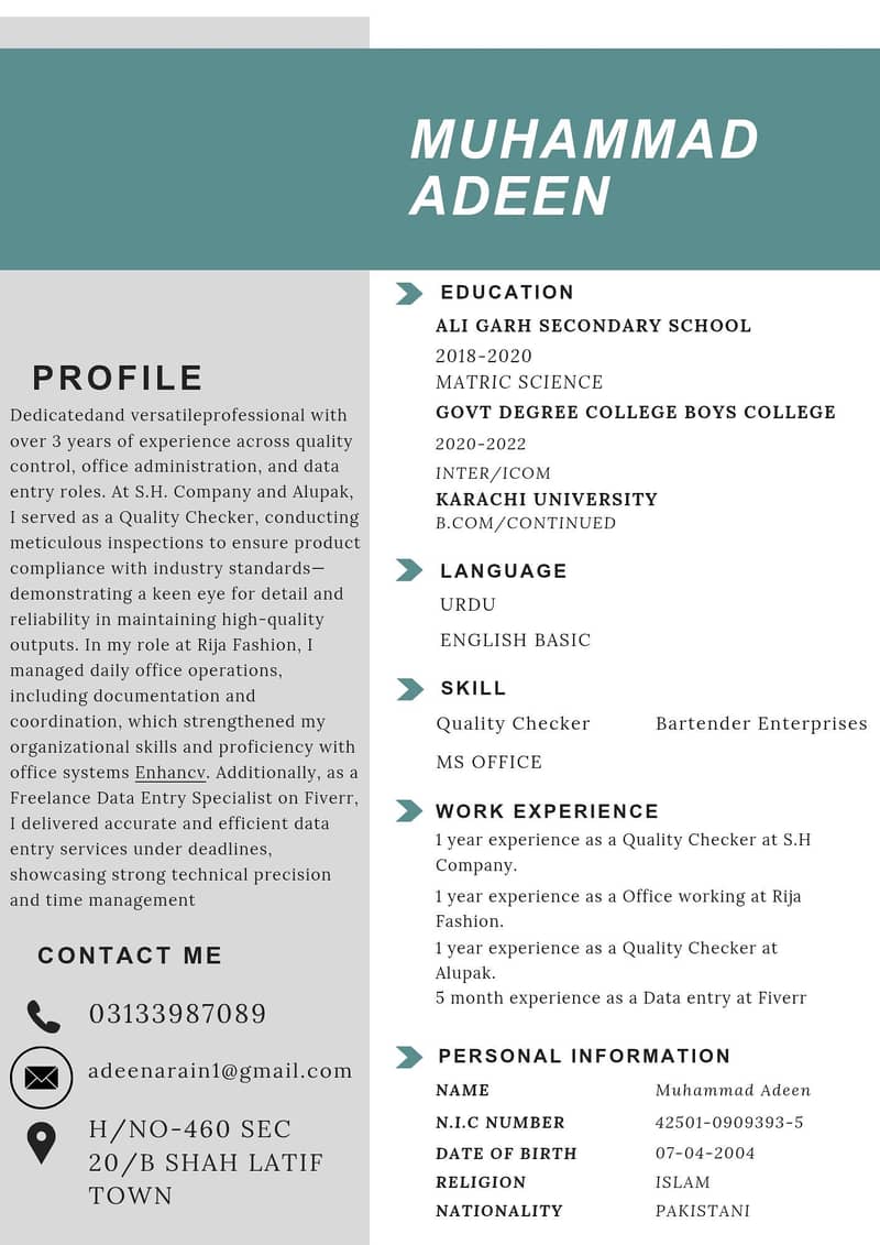 Professional CV Maker 0