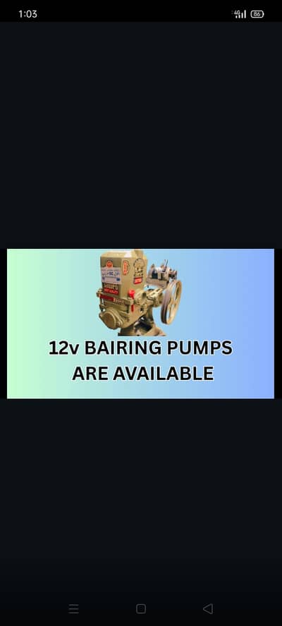 12v bairing pump are availlable