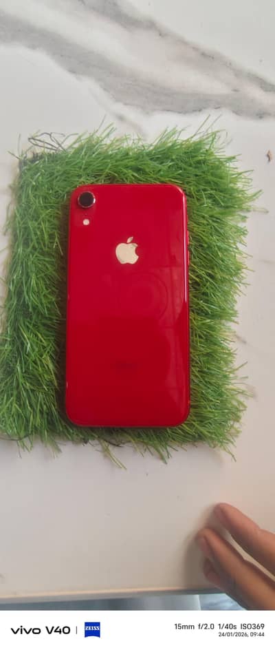 iPhone XR non pta