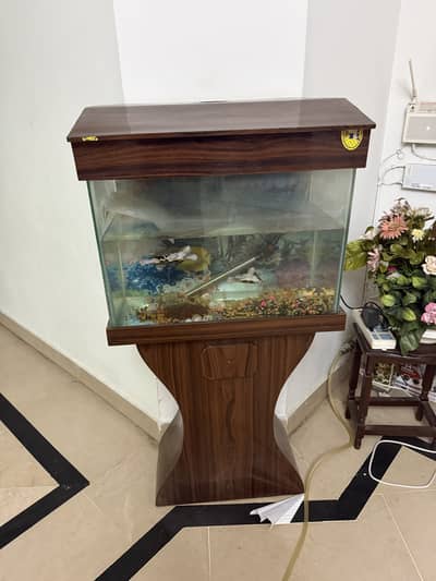 Aquarium with stand and lid
