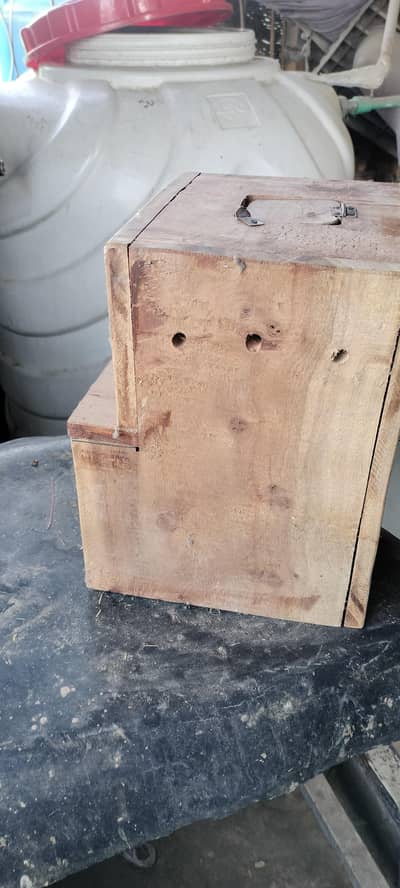 parrot  breading box