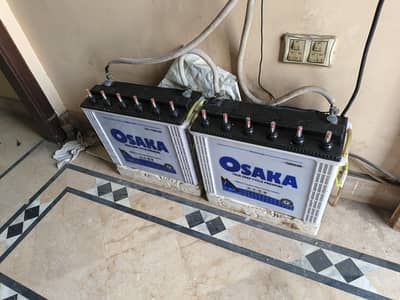 oaska tall 1800  for sell